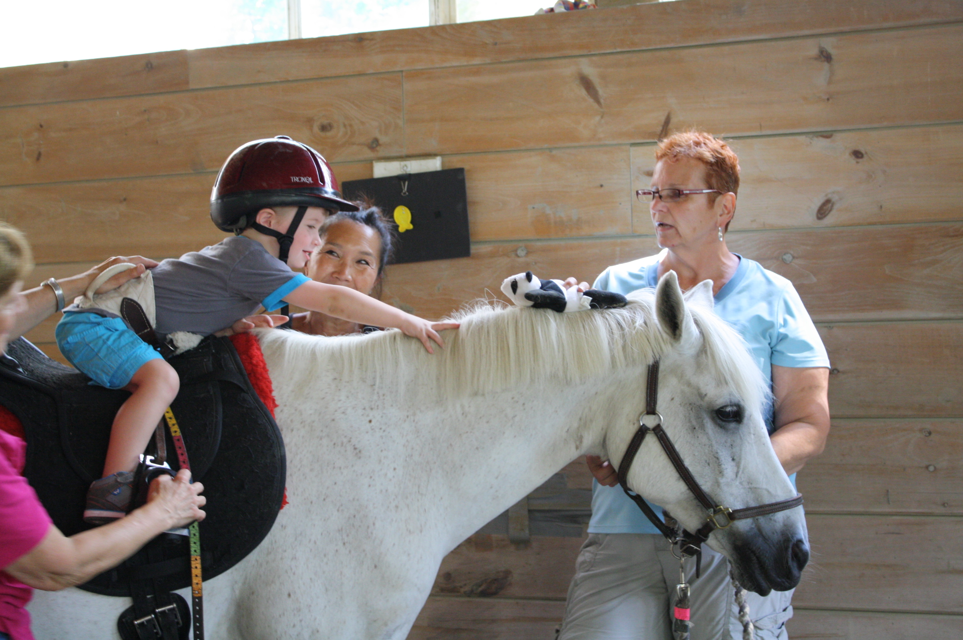 Minute Man Arc Receives Hippotherapy Grant from Foundation for ...